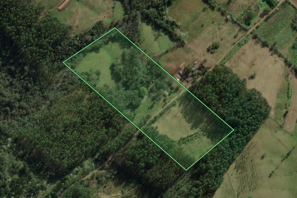 Imagem de satélite do imóvel rural em Erval Grande (RS), com o contorno declarado no CAR desenhado por cima.