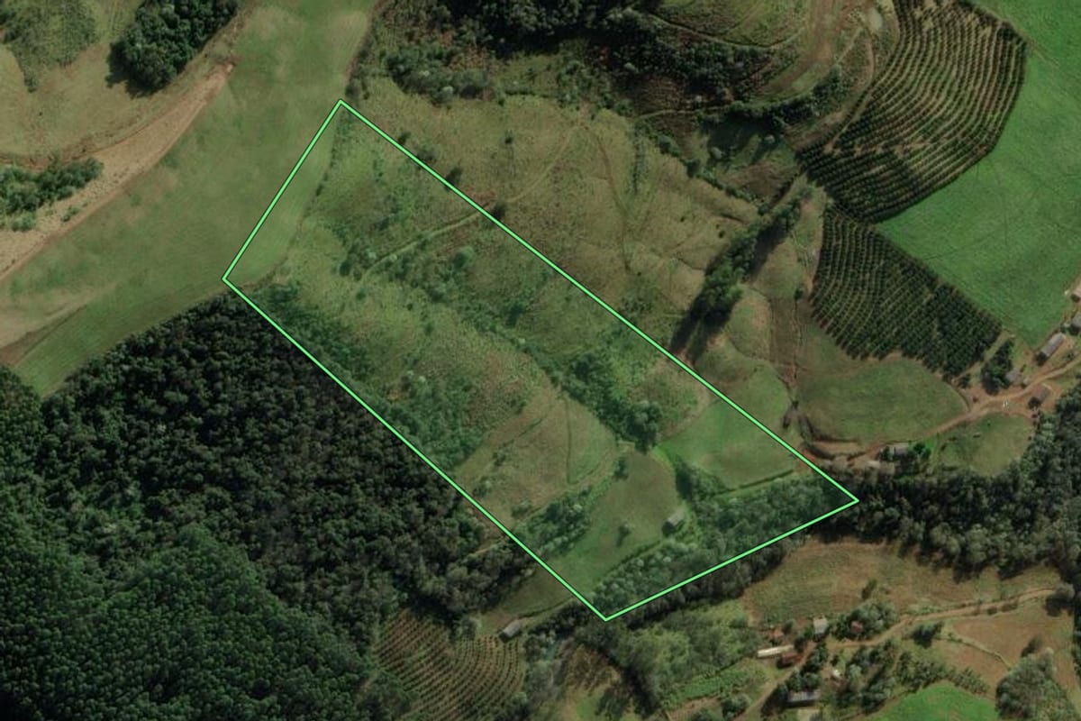 Imagem de satélite do imóvel rural em Erval Grande (RS), com o contorno declarado no CAR desenhado por cima.