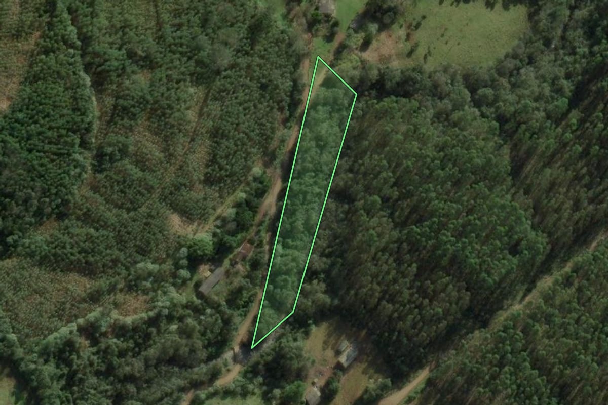 Imagem de satélite do imóvel rural em Erval Grande (RS), com o contorno declarado no CAR desenhado por cima.