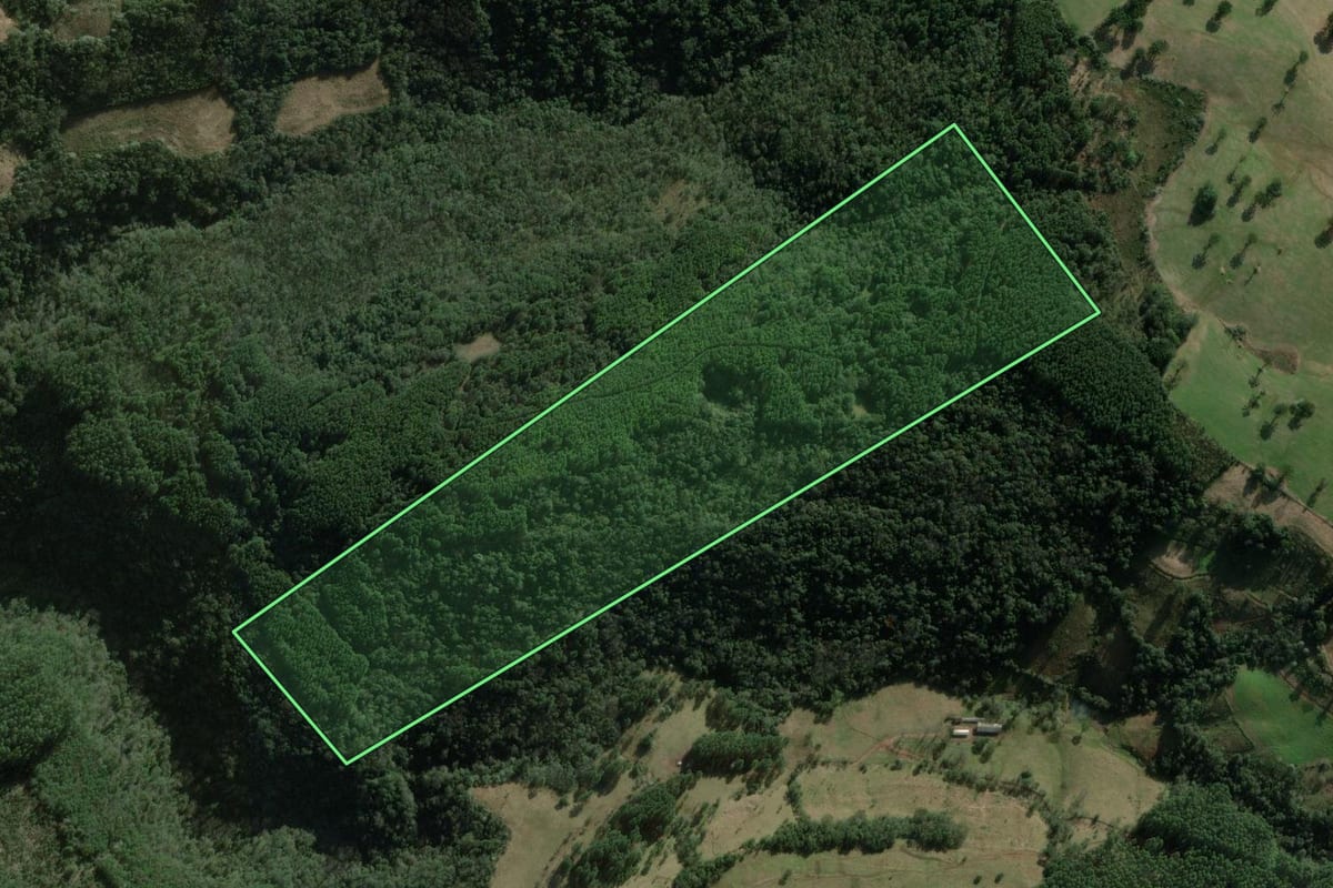 Imagem de satélite do imóvel rural em Erval Grande (RS), com o contorno declarado no CAR desenhado por cima.