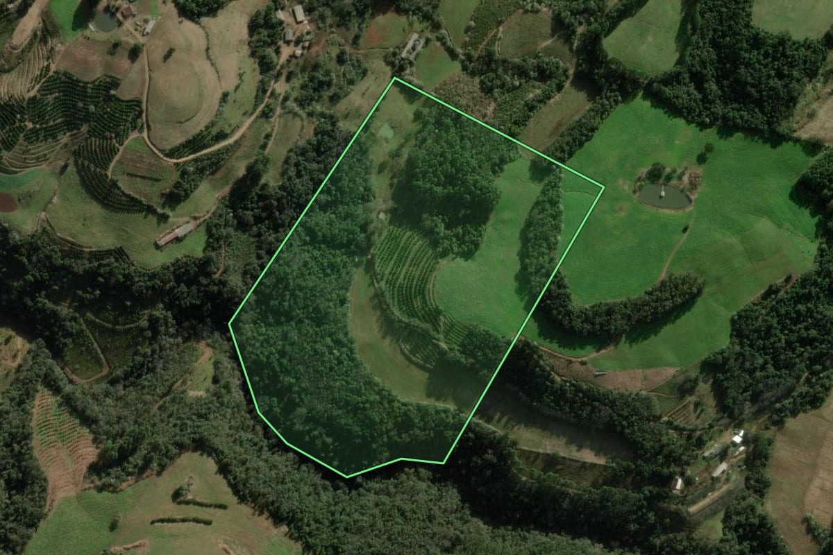 Imagem de satélite do imóvel rural em Erval Grande (RS), com o contorno declarado no CAR desenhado por cima.