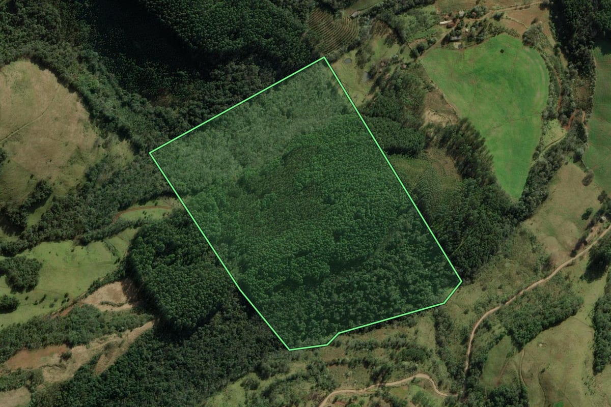 Imagem de satélite do imóvel rural em Erval Grande (RS), com o contorno declarado no CAR desenhado por cima.