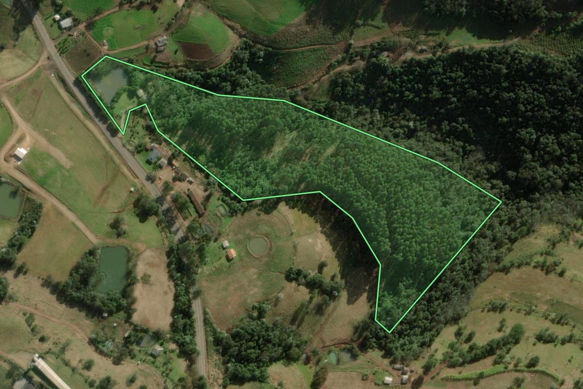 Imagem de satélite do imóvel rural em Erval Grande (RS), com o contorno declarado no CAR desenhado por cima.