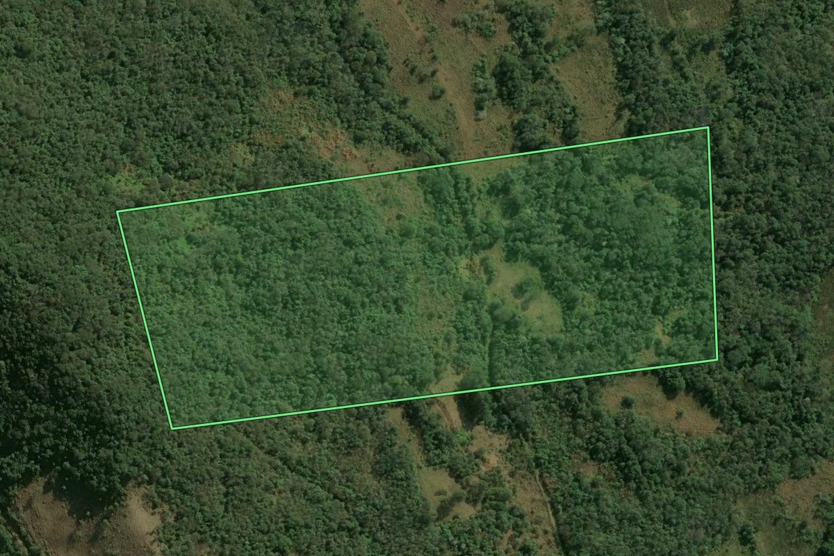 Imagem de satélite do imóvel rural em Erval Grande (RS), com o contorno declarado no CAR desenhado por cima.