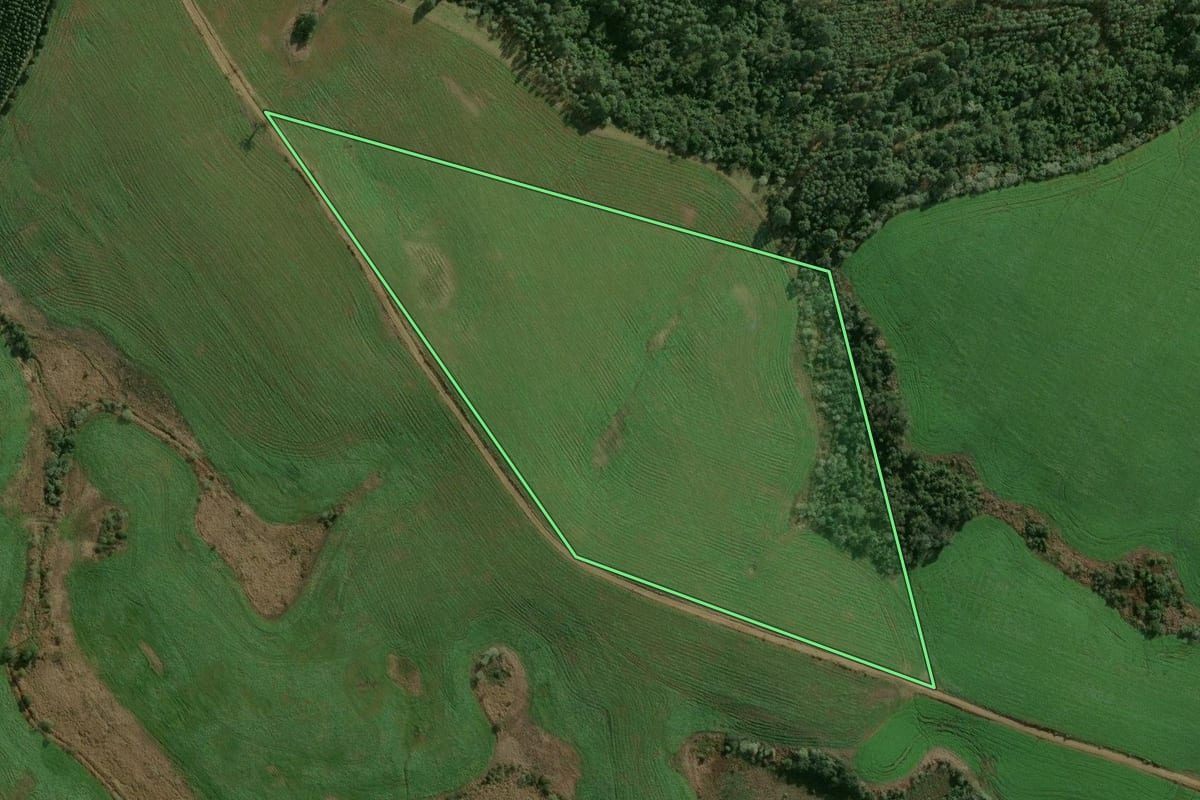 Imagem de satélite do imóvel rural em Erval Grande (RS), com o contorno declarado no CAR desenhado por cima.
