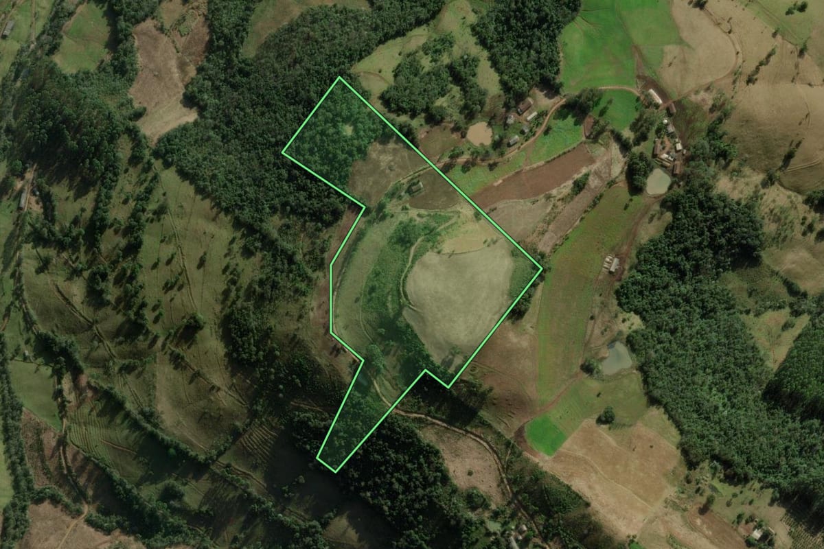 Imagem de satélite do imóvel rural em Erval Grande (RS), com o contorno declarado no CAR desenhado por cima.