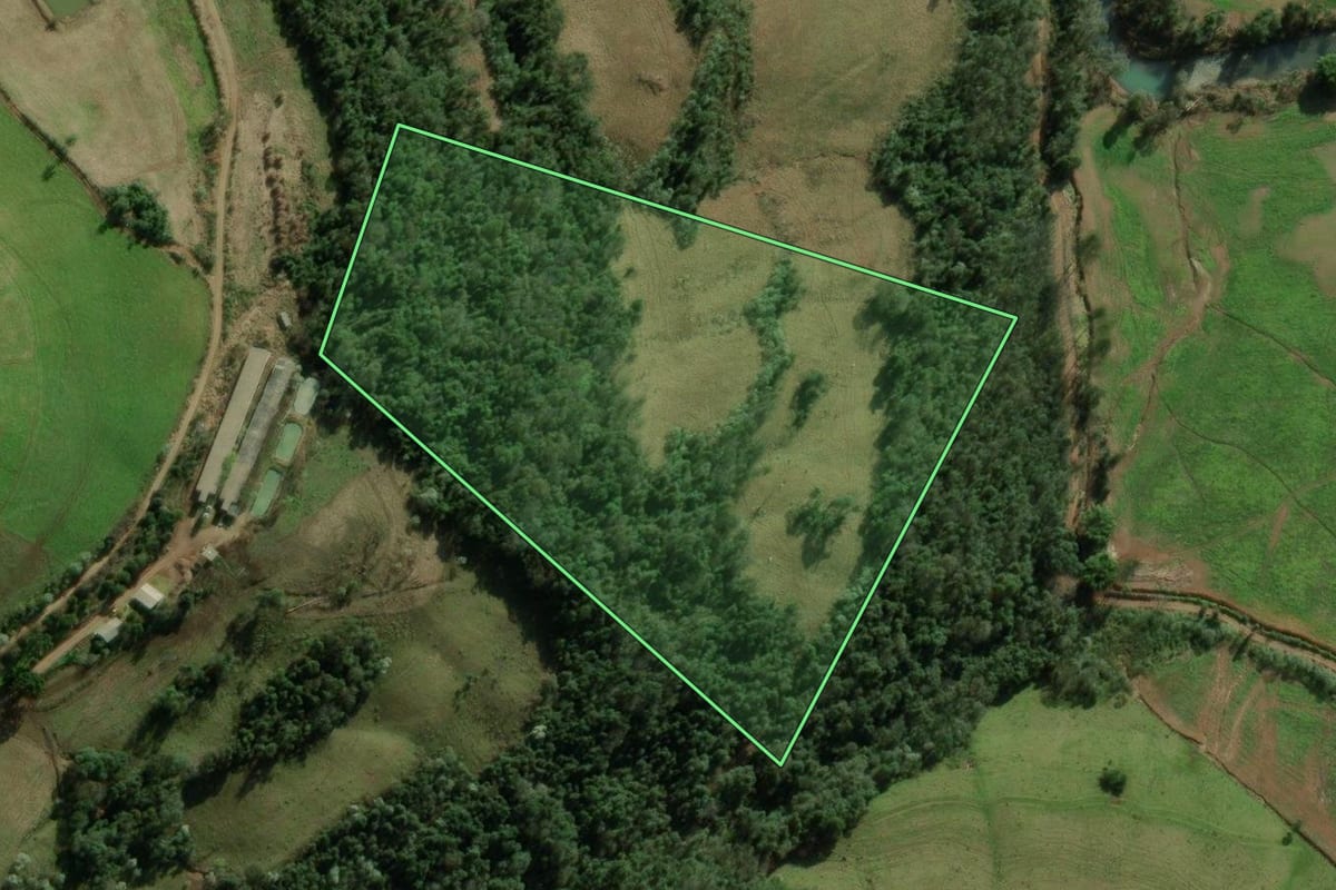 Imagem de satélite do imóvel rural em Erval Grande (RS), com o contorno declarado no CAR desenhado por cima.