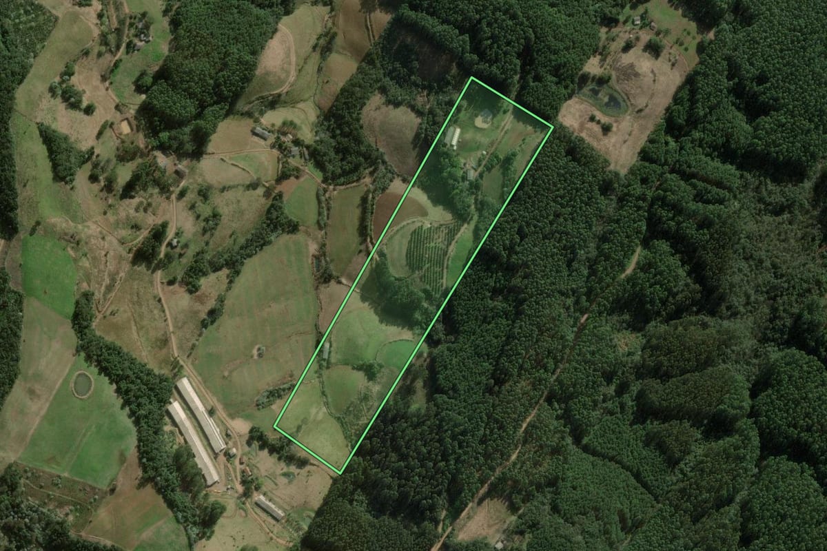 Imagem de satélite do imóvel rural em Erval Grande (RS), com o contorno declarado no CAR desenhado por cima.