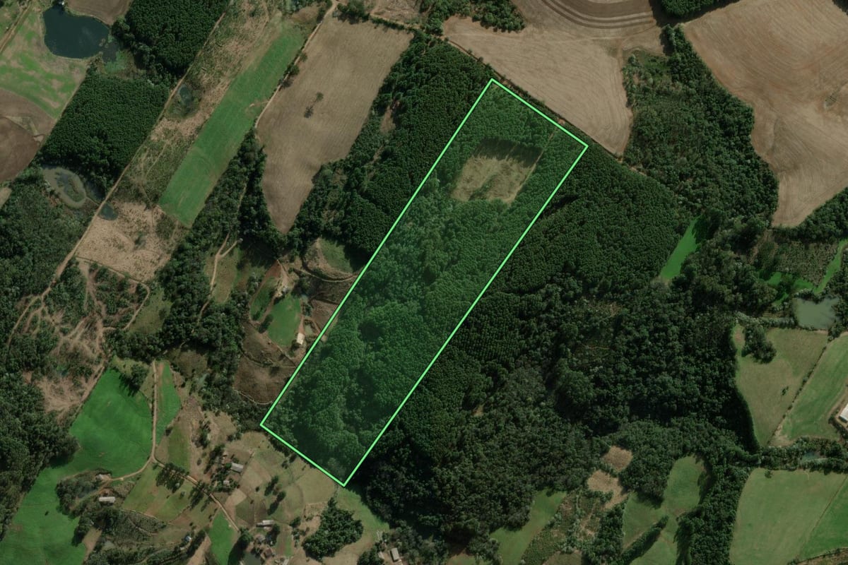 Imagem de satélite do imóvel rural em Erval Grande (RS), com o contorno declarado no CAR desenhado por cima.