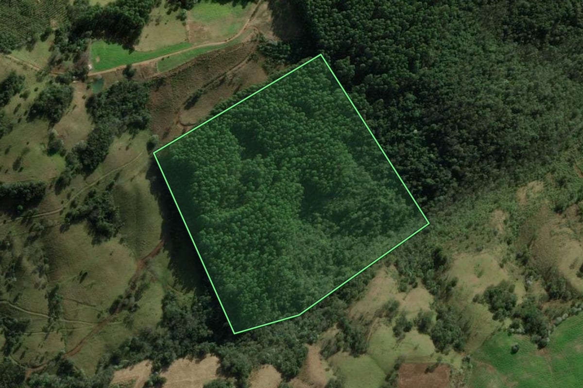 Imagem de satélite do imóvel rural em Erval Grande (RS), com o contorno declarado no CAR desenhado por cima.