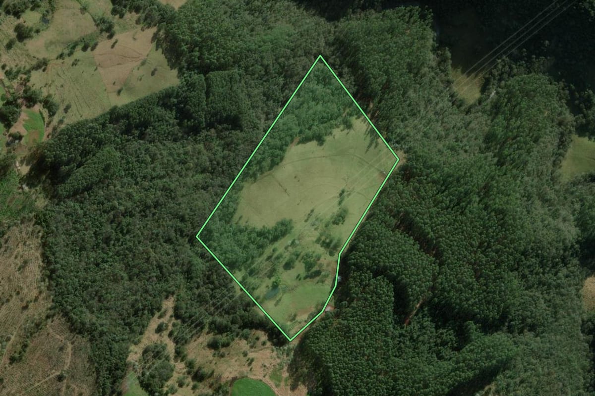 Imagem de satélite do imóvel rural em Erval Grande (RS), com o contorno declarado no CAR desenhado por cima.