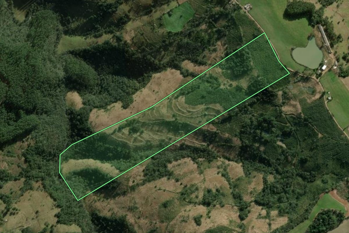 Imagem de satélite do imóvel rural em Erval Grande (RS), com o contorno declarado no CAR desenhado por cima.