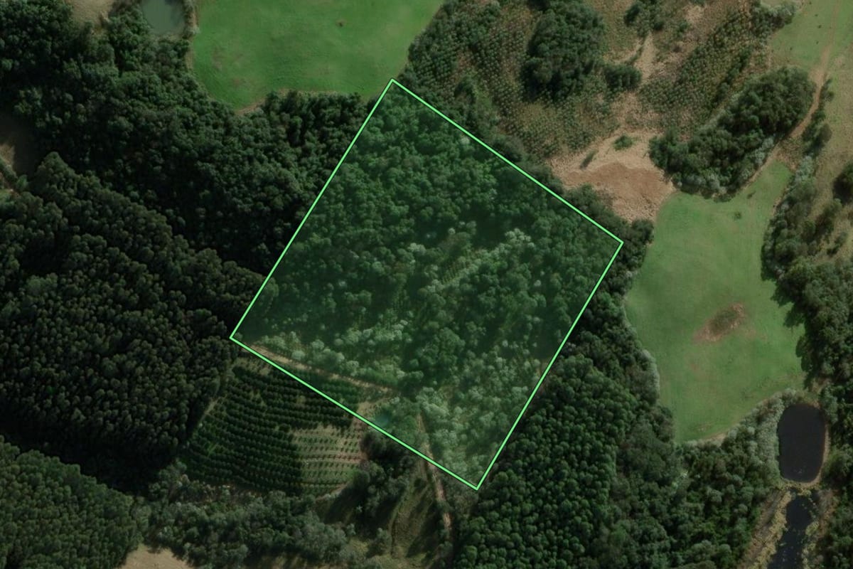 Imagem de satélite do imóvel rural em Erval Grande (RS), com o contorno declarado no CAR desenhado por cima.