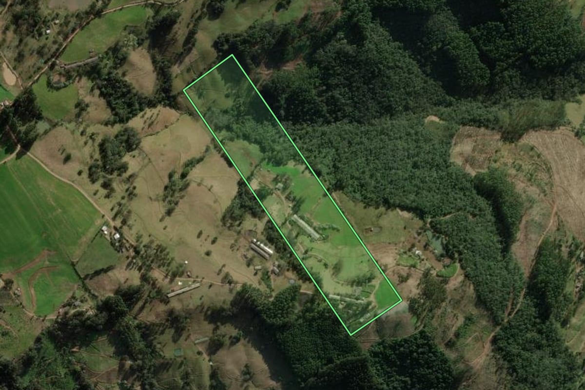 Imagem de satélite do imóvel rural em Erval Grande (RS), com o contorno declarado no CAR desenhado por cima.