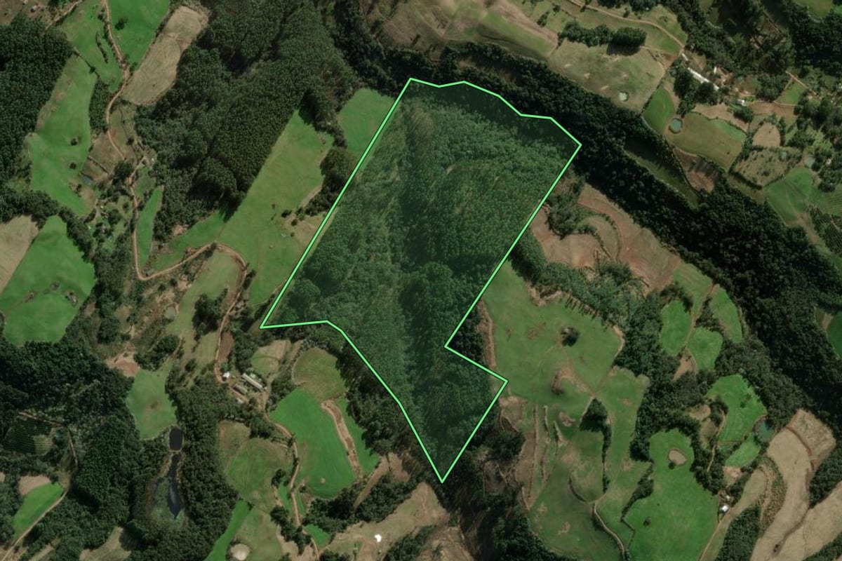 Imagem de satélite do imóvel rural em Erval Grande (RS), com o contorno declarado no CAR desenhado por cima.