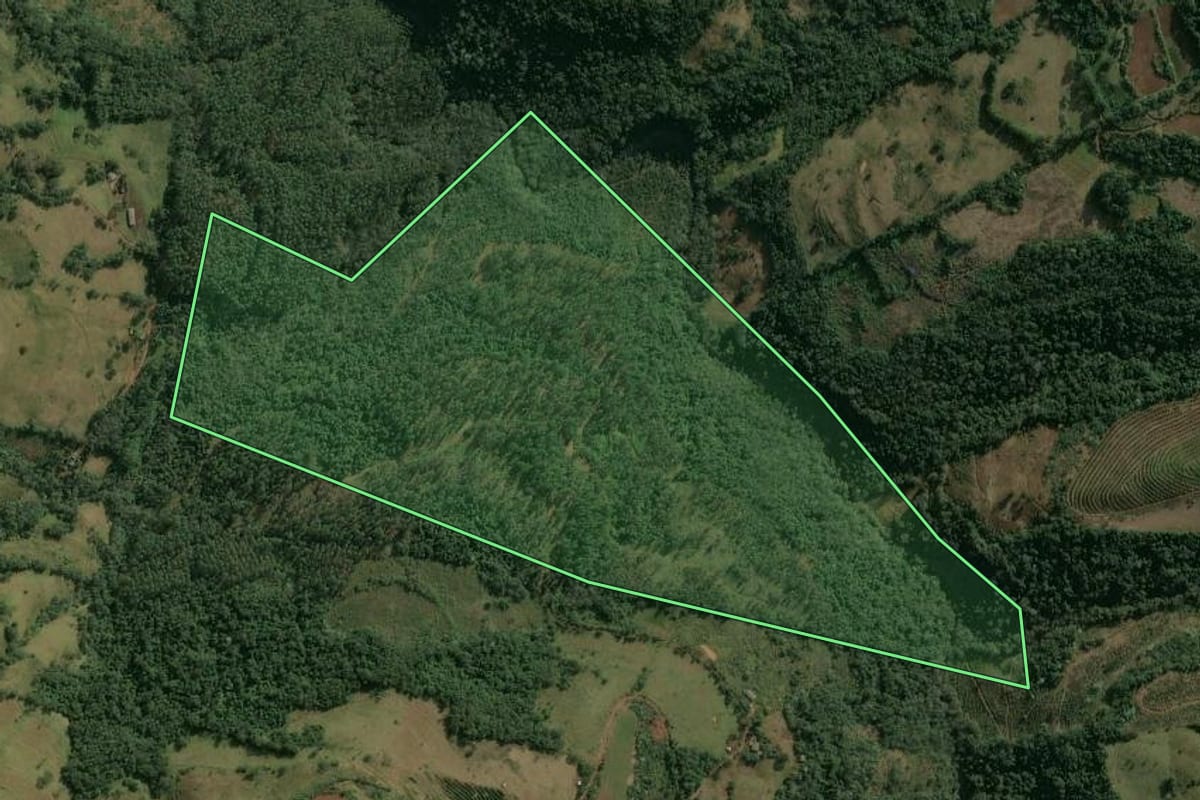 Imagem de satélite do imóvel rural em Erval Grande (RS), com o contorno declarado no CAR desenhado por cima.