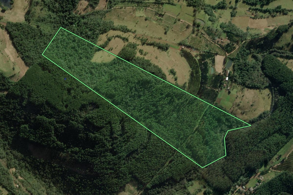 Imagem de satélite do imóvel rural em Erval Grande (RS), com o contorno declarado no CAR desenhado por cima.