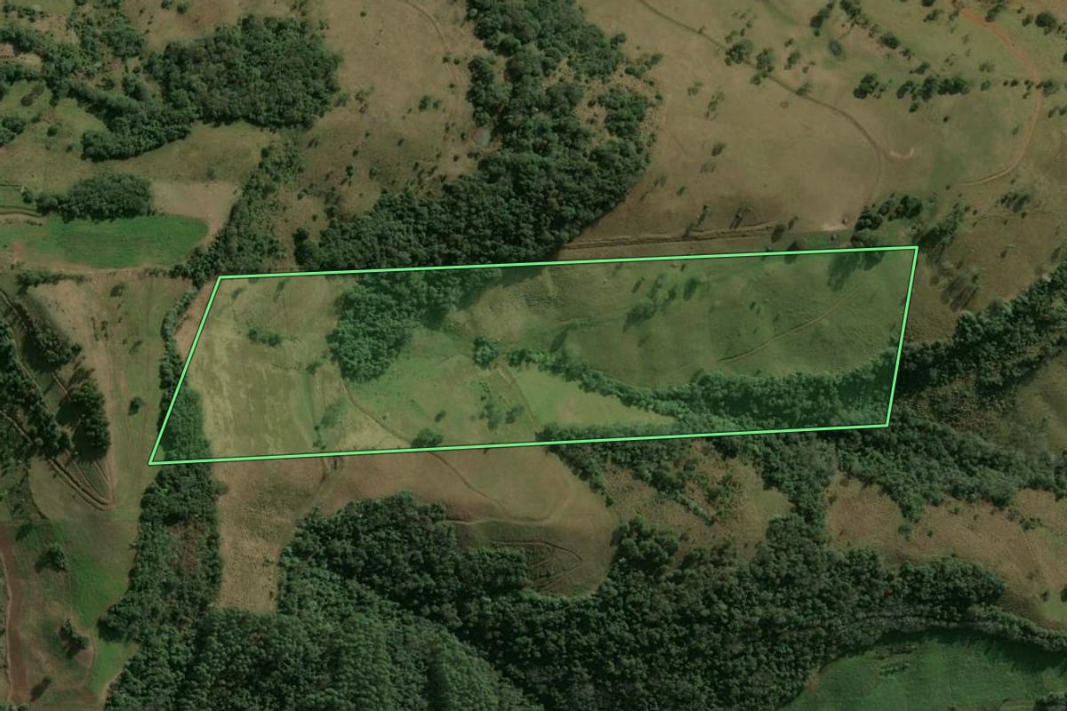 Imagem de satélite do imóvel rural em Erval Grande (RS), com o contorno declarado no CAR desenhado por cima.