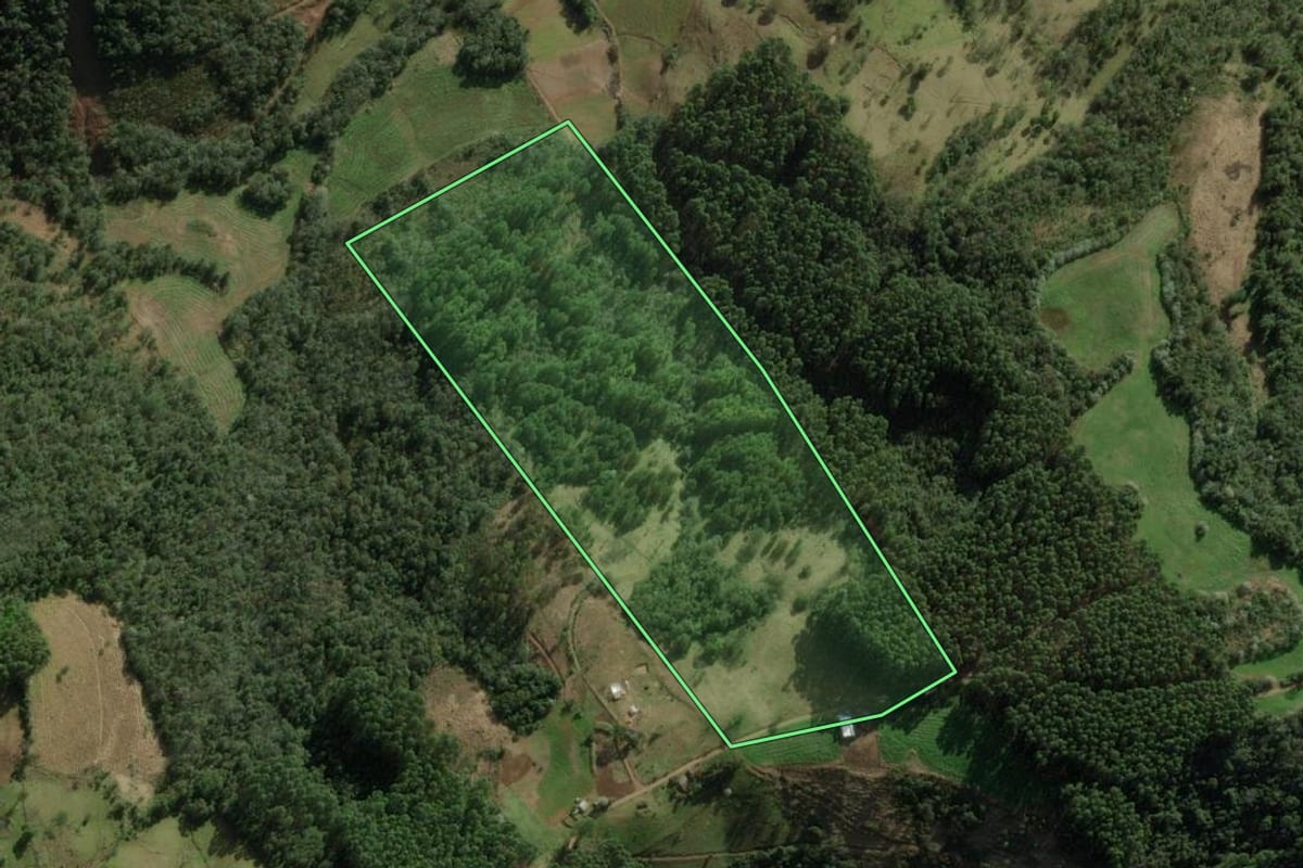 Imagem de satélite do imóvel rural em Erval Grande (RS), com o contorno declarado no CAR desenhado por cima.