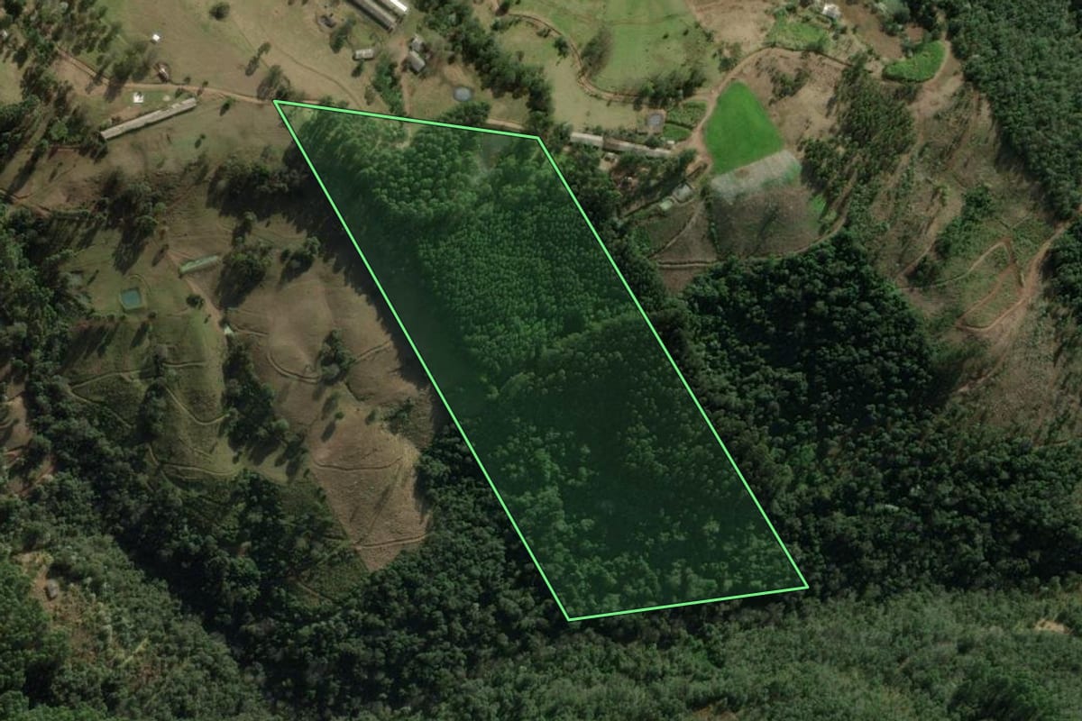 Imagem de satélite do imóvel rural em Erval Grande (RS), com o contorno declarado no CAR desenhado por cima.