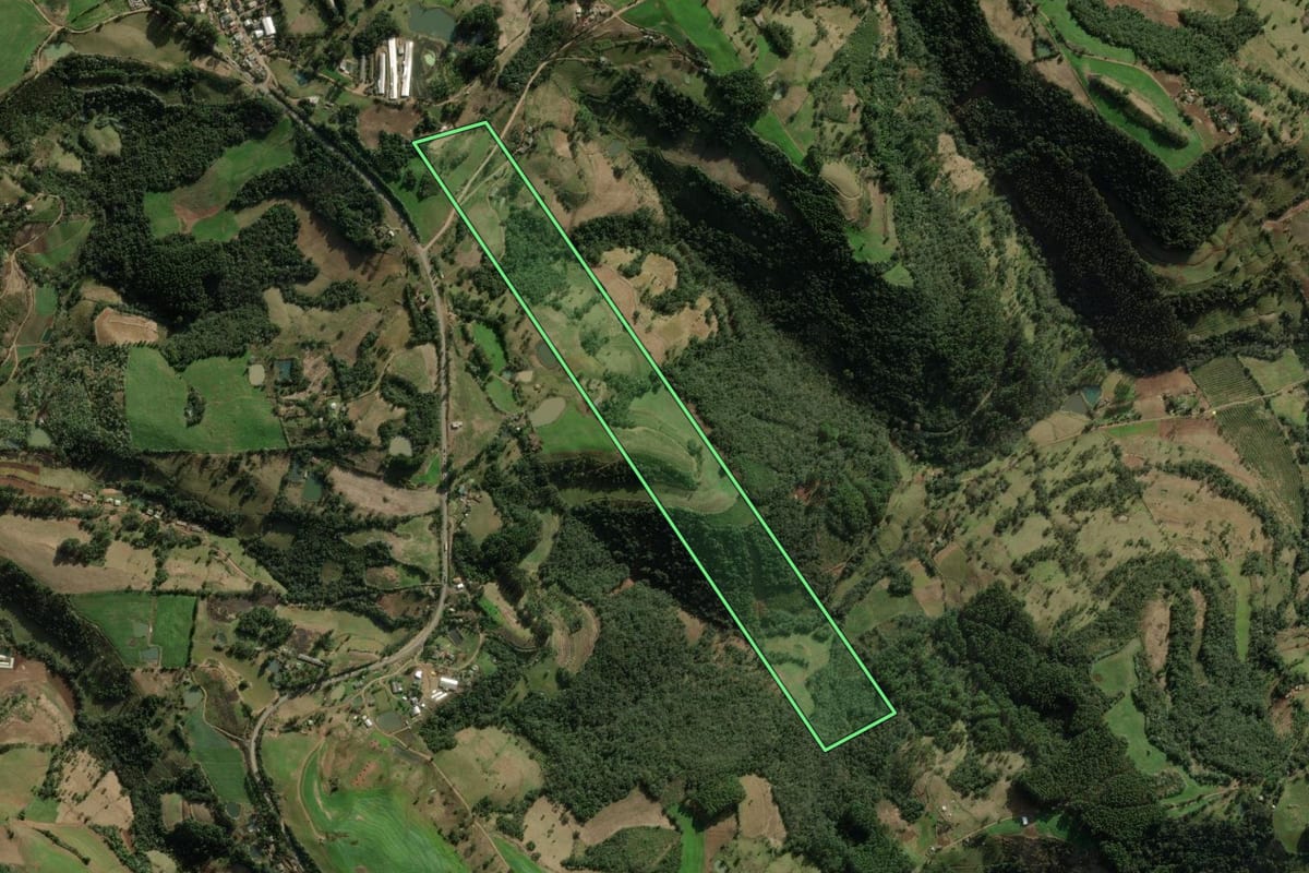 Imagem de satélite do imóvel rural em Erval Grande (RS), com o contorno declarado no CAR desenhado por cima.