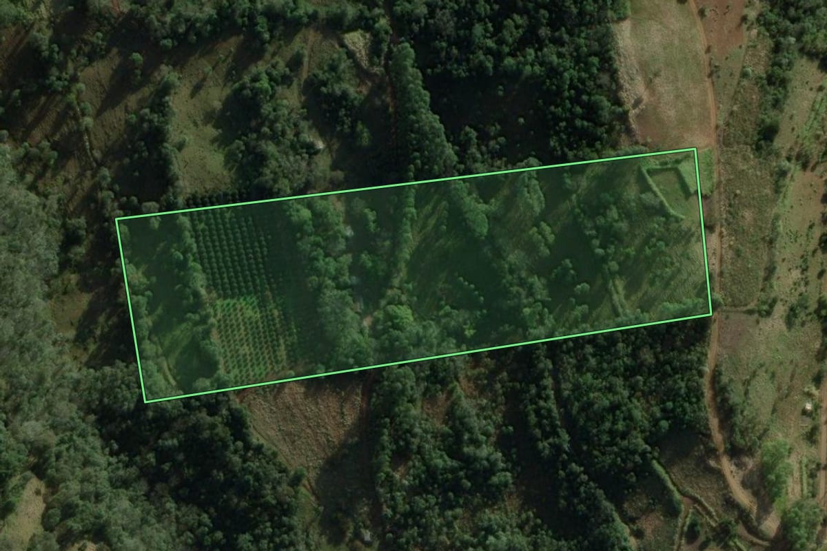 Imagem de satélite do imóvel rural em Erval Grande (RS), com o contorno declarado no CAR desenhado por cima.