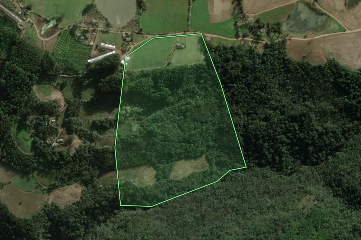 Imagem de satélite do imóvel rural em Erval Grande (RS), com o contorno declarado no CAR desenhado por cima.