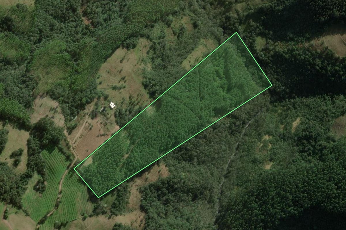 Imagem de satélite do imóvel rural em Erval Grande (RS), com o contorno declarado no CAR desenhado por cima.