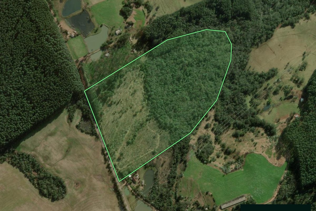 Imagem de satélite do imóvel rural em Erval Grande (RS), com o contorno declarado no CAR desenhado por cima.