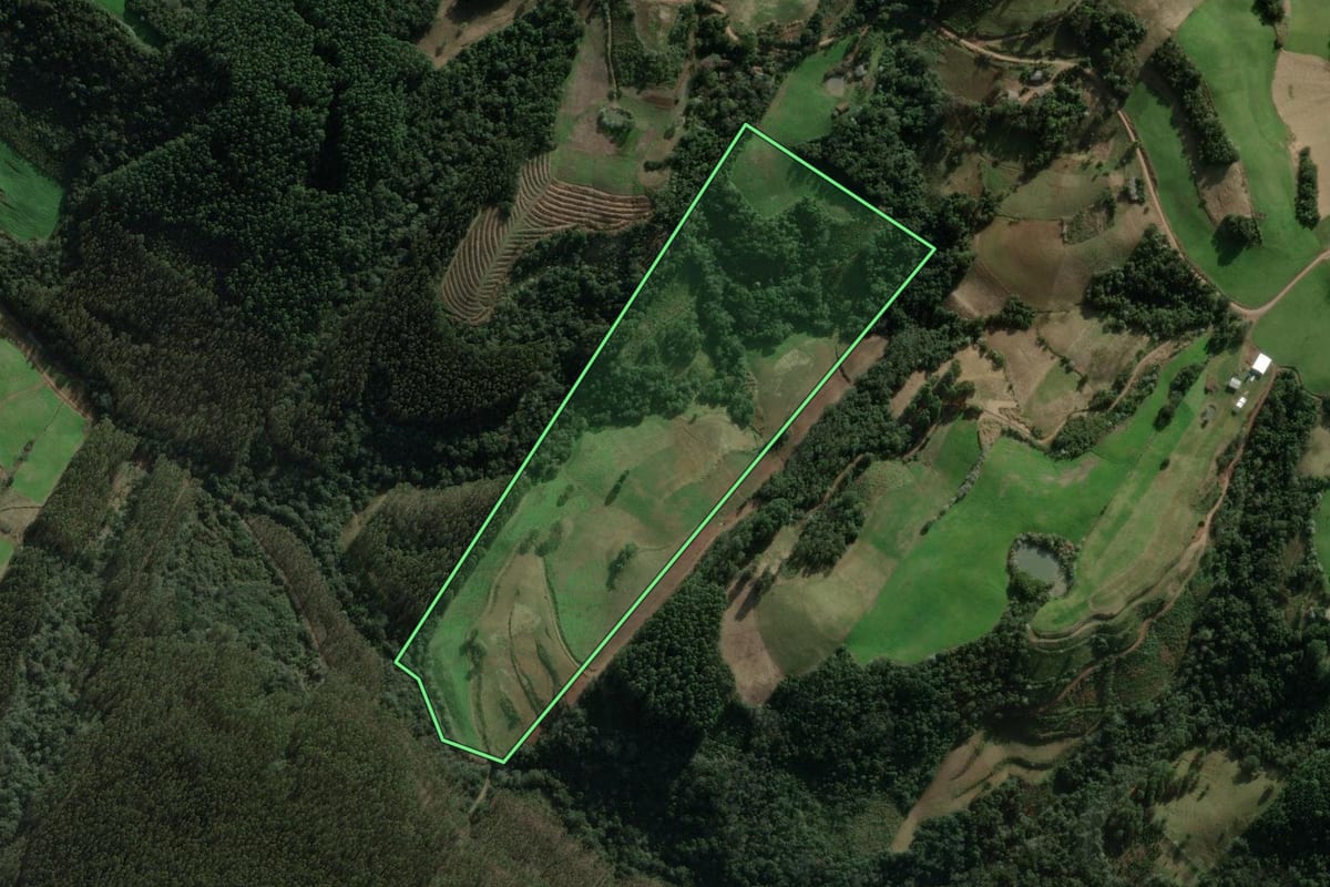 Imagem de satélite do imóvel rural em Erval Grande (RS), com o contorno declarado no CAR desenhado por cima.