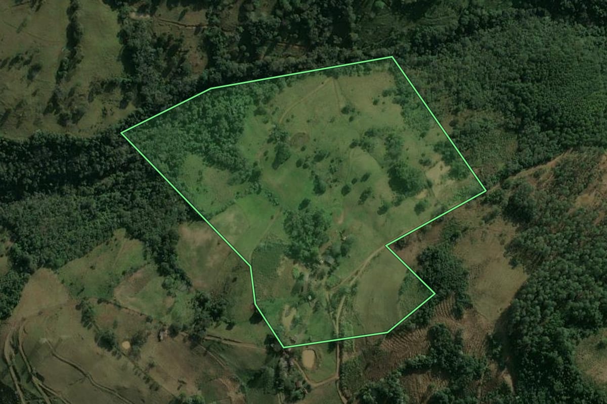 Imagem de satélite do imóvel rural em Erval Grande (RS), com o contorno declarado no CAR desenhado por cima.