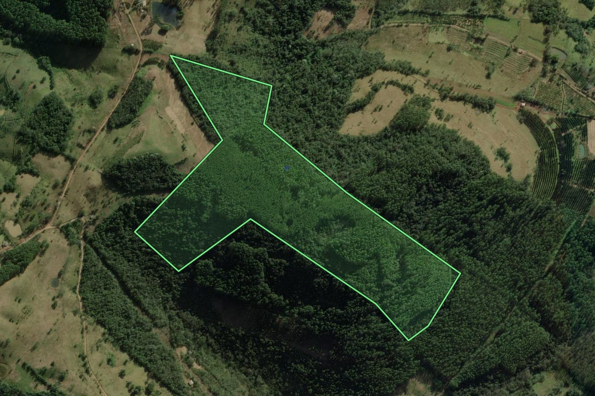 Imagem de satélite do imóvel rural em Erval Grande (RS), com o contorno declarado no CAR desenhado por cima.