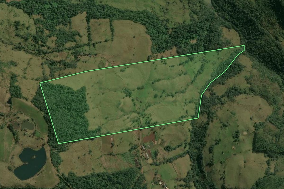 Imagem de satélite do imóvel rural em Erval Grande (RS), com o contorno declarado no CAR desenhado por cima.