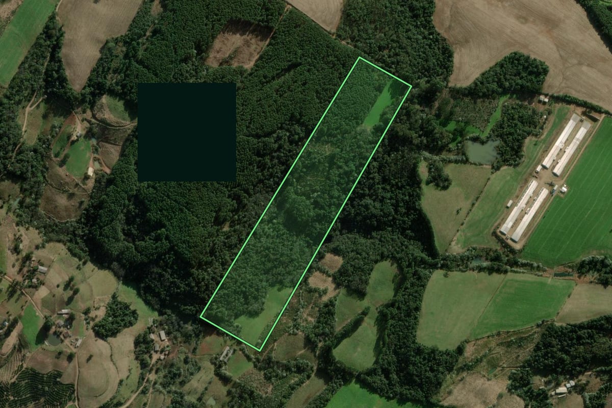 Imagem de satélite do imóvel rural em Erval Grande (RS), com o contorno declarado no CAR desenhado por cima.