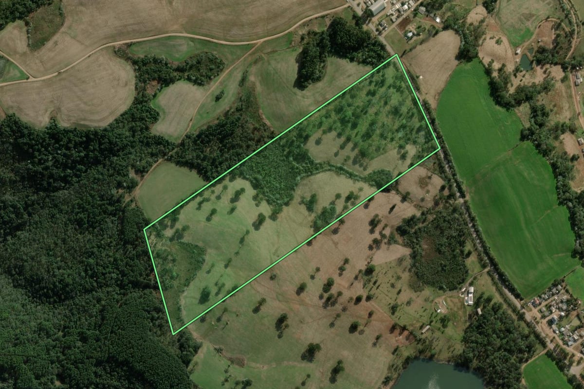 Imagem de satélite do imóvel rural em Erval Grande (RS), com o contorno declarado no CAR desenhado por cima.