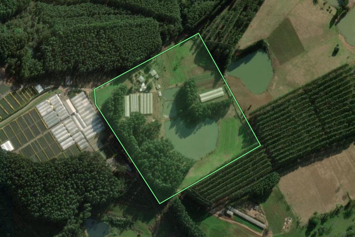 Imagem de satélite do imóvel rural em Erval Grande (RS), com o contorno declarado no CAR desenhado por cima.