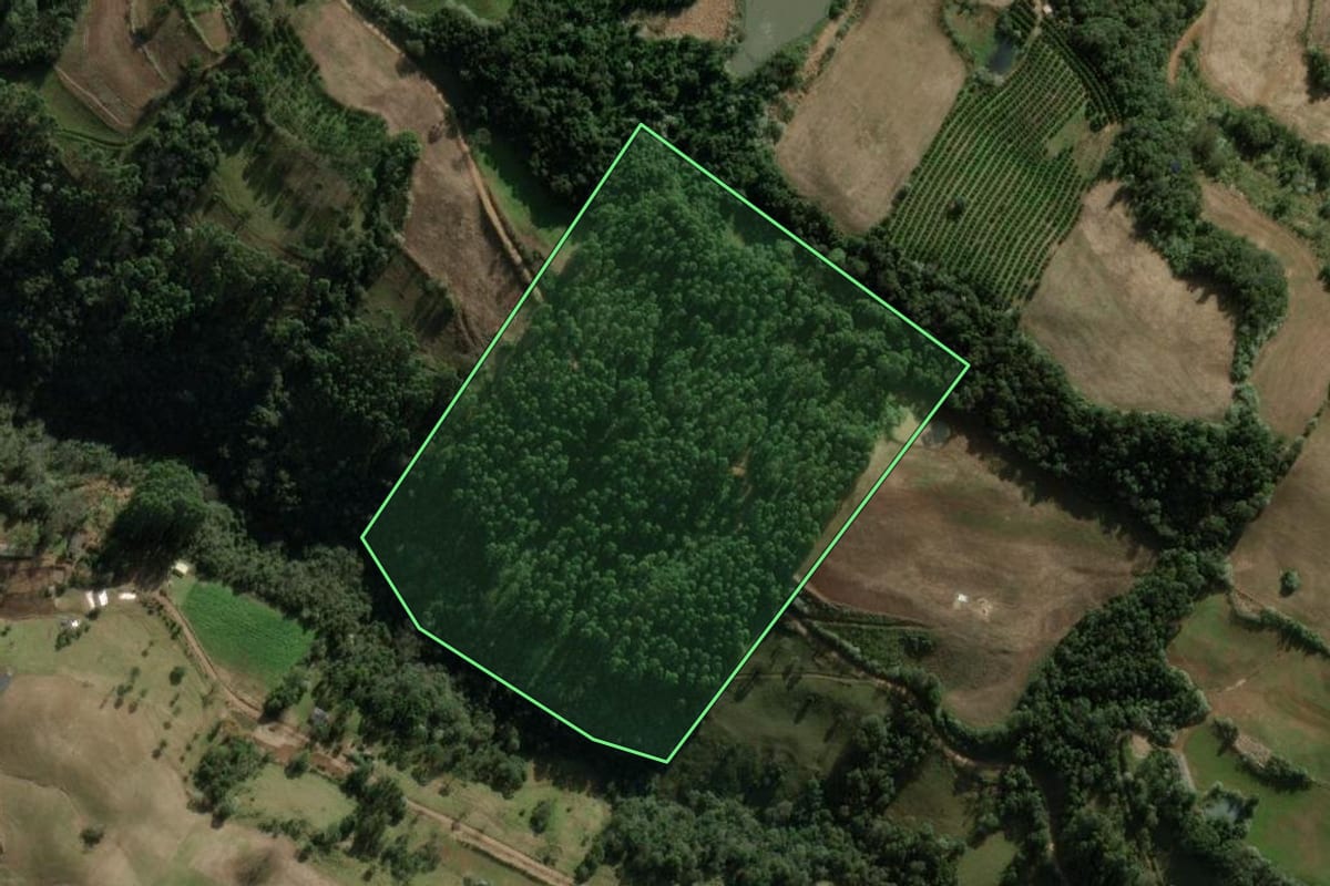 Imagem de satélite do imóvel rural em Erval Grande (RS), com o contorno declarado no CAR desenhado por cima.