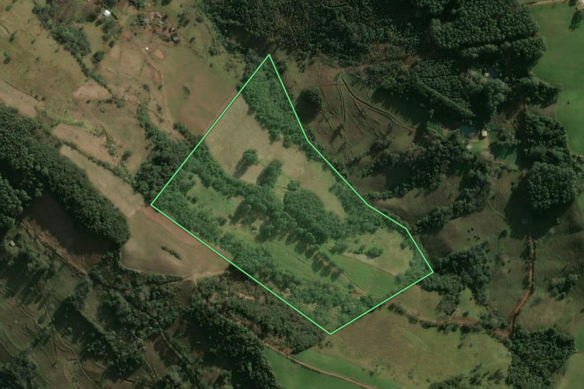 Imagem de satélite do imóvel rural em Erval Grande (RS), com o contorno declarado no CAR desenhado por cima.