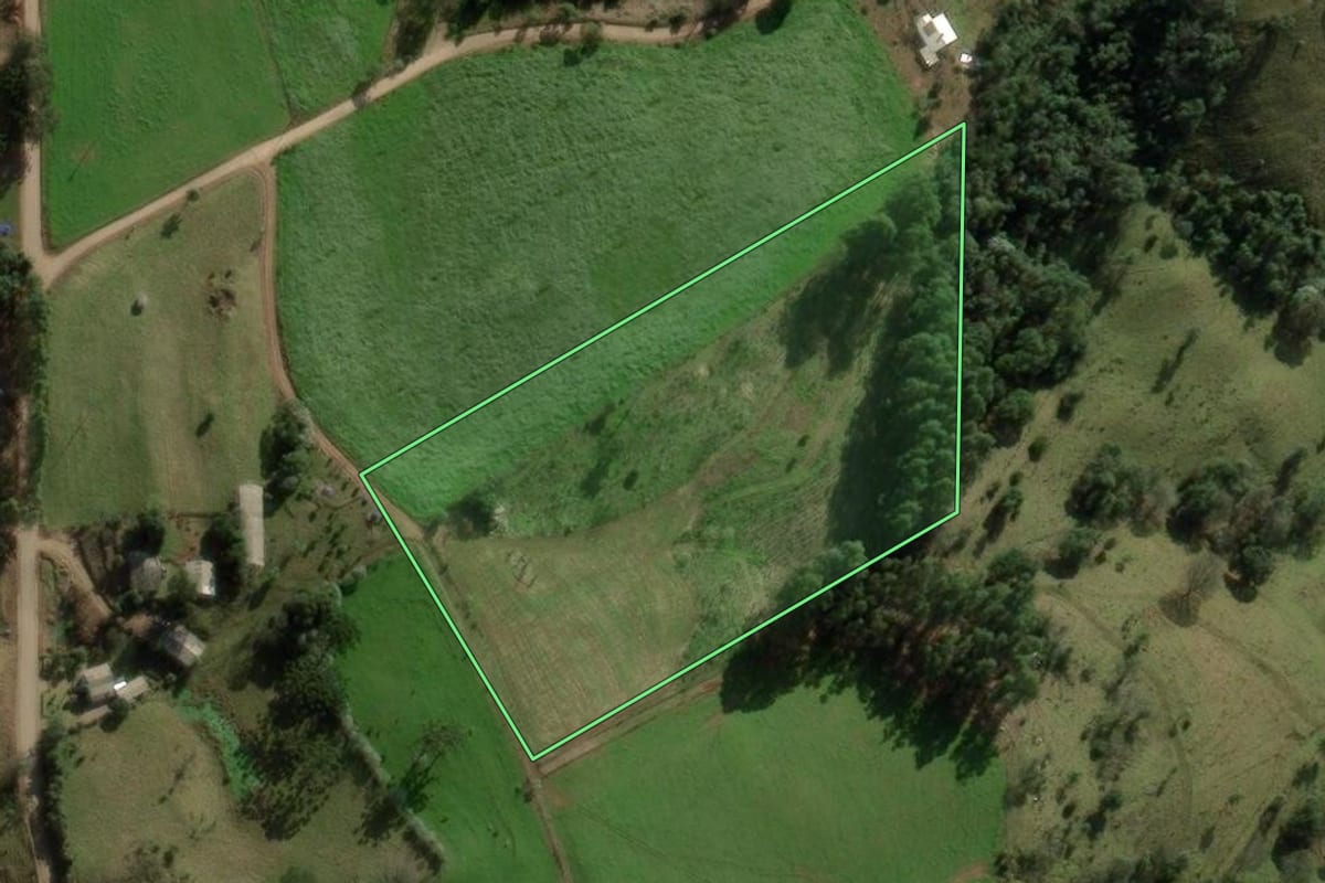 Imagem de satélite do imóvel rural em Erval Grande (RS), com o contorno declarado no CAR desenhado por cima.