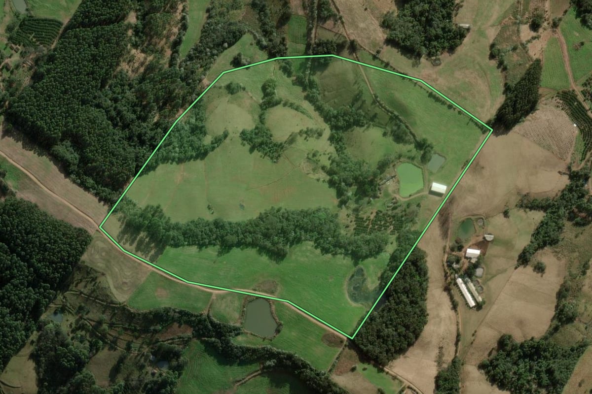 Imagem de satélite do imóvel rural em Erval Grande (RS), com o contorno declarado no CAR desenhado por cima.