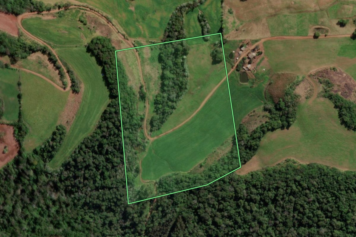 Imagem de satélite do imóvel rural em Erval Seco (RS), com o contorno declarado no CAR desenhado por cima.