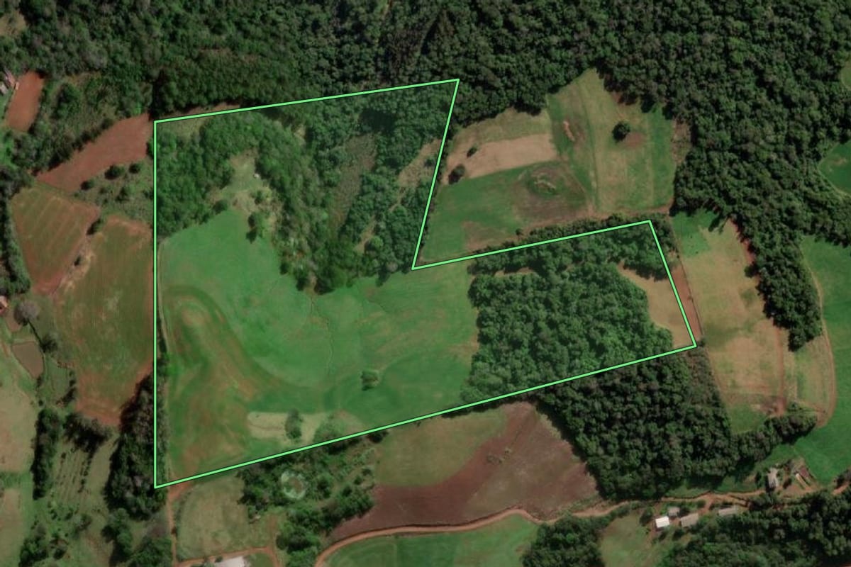 Imagem de satélite do imóvel rural em Erval Seco (RS), com o contorno declarado no CAR desenhado por cima.