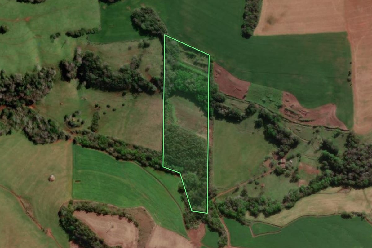 Imagem de satélite do imóvel rural em Erval Seco (RS), com o contorno declarado no CAR desenhado por cima.