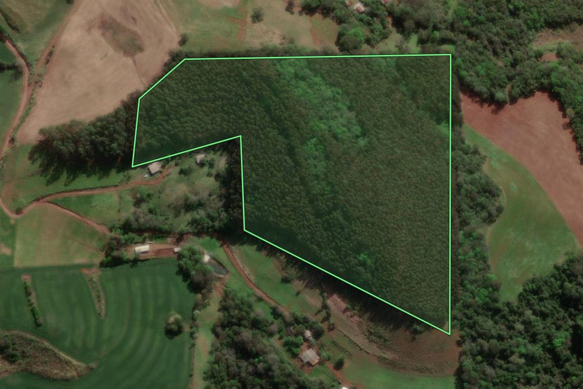 Imagem de satélite do imóvel rural em Erval Seco (RS), com o contorno declarado no CAR desenhado por cima.