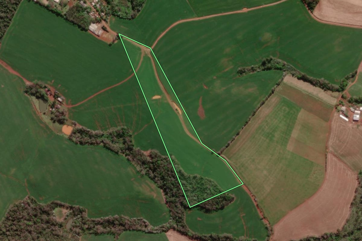 Imagem de satélite do imóvel rural em Erval Seco (RS), com o contorno declarado no CAR desenhado por cima.