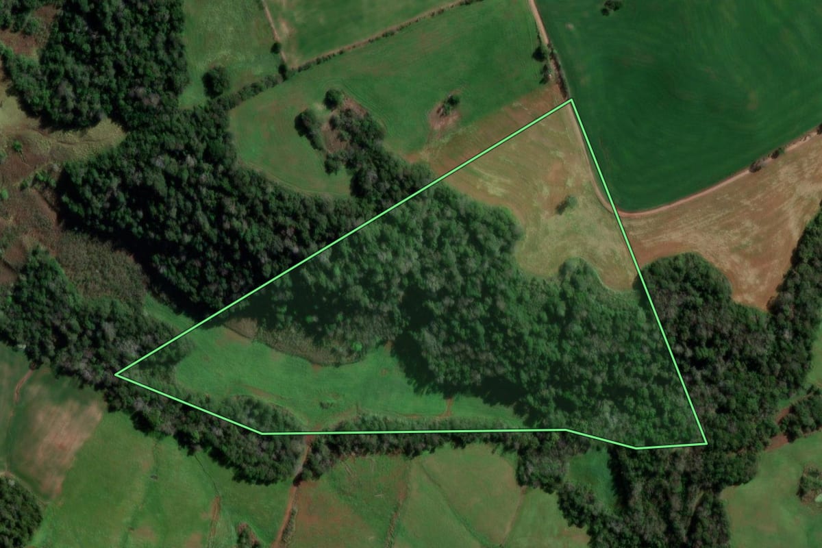 Imagem de satélite do imóvel rural em Erval Seco (RS), com o contorno declarado no CAR desenhado por cima.