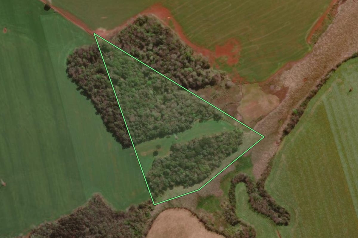 Imagem de satélite do imóvel rural em Erval Seco (RS), com o contorno declarado no CAR desenhado por cima.