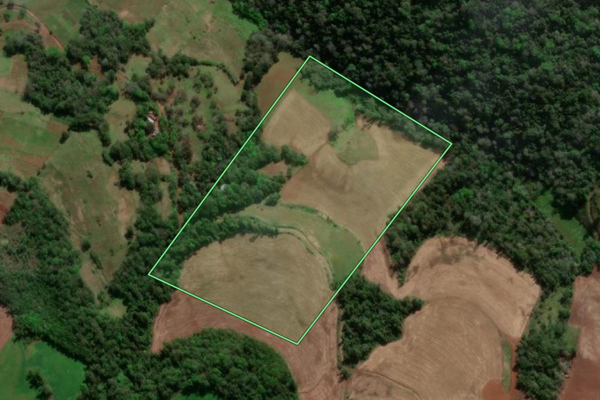 Imagem de satélite do imóvel rural em Erval Seco (RS), com o contorno declarado no CAR desenhado por cima.