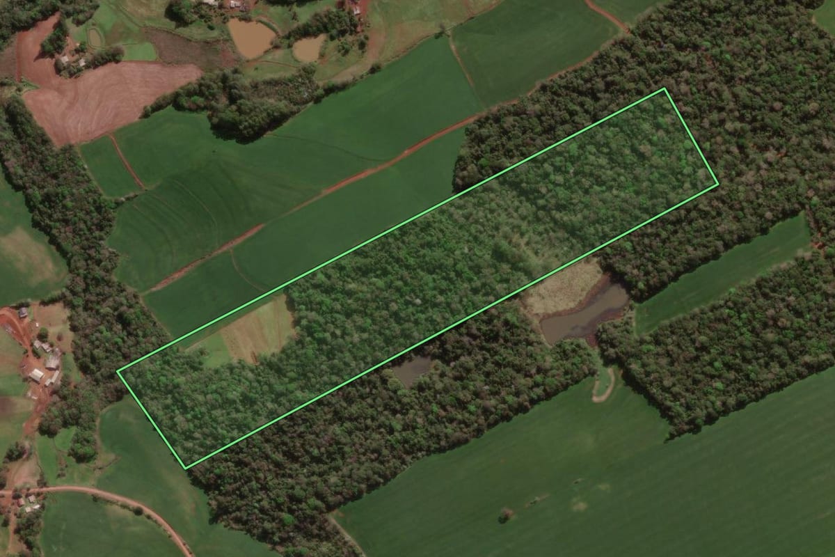 Imagem de satélite do imóvel rural em Erval Seco (RS), com o contorno declarado no CAR desenhado por cima.