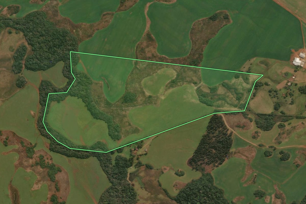 Imagem de satélite do imóvel rural em Esmeralda (RS), com o contorno declarado no CAR desenhado por cima.